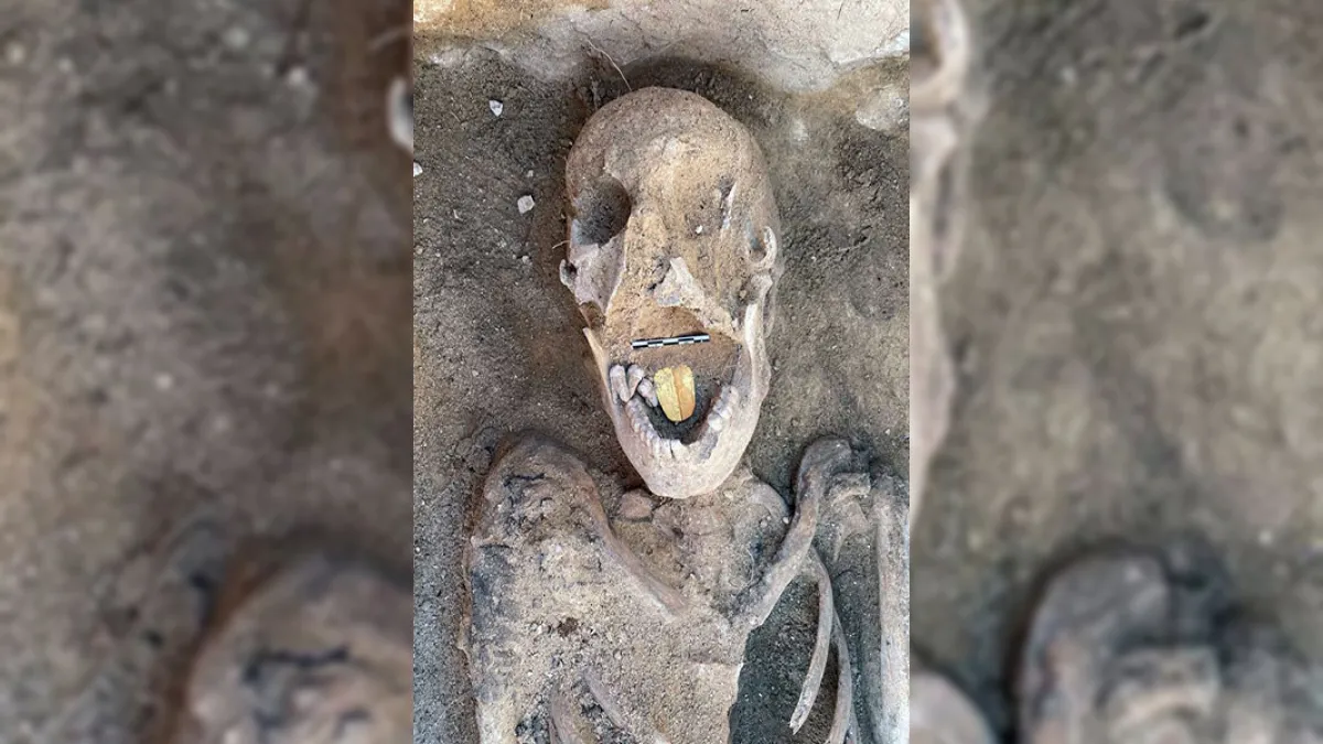 Your weekly fact-checks